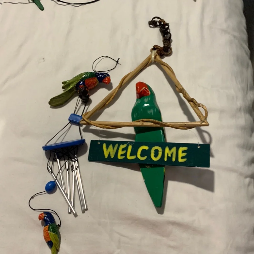Parrots 🦜 - Picture 1 of 12